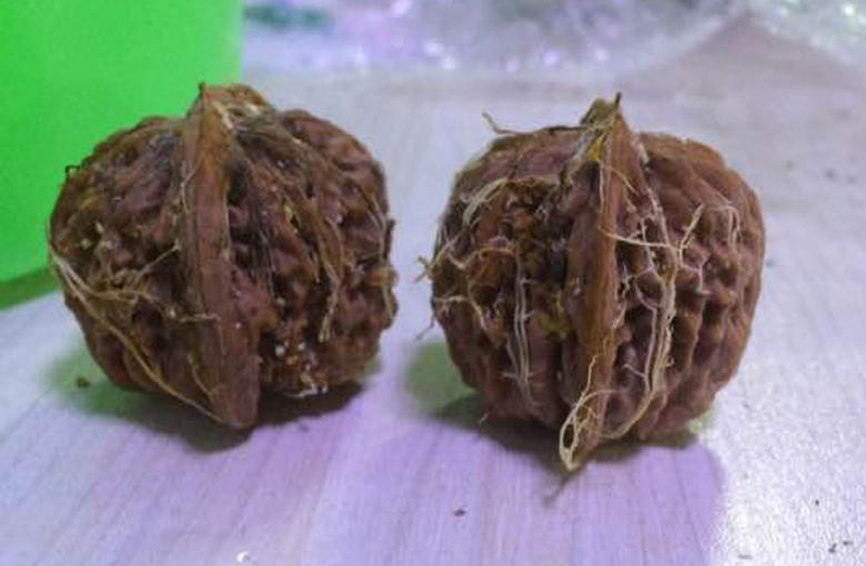 文玩核桃可以用酒泡吗,文玩核桃可以用白酒吗