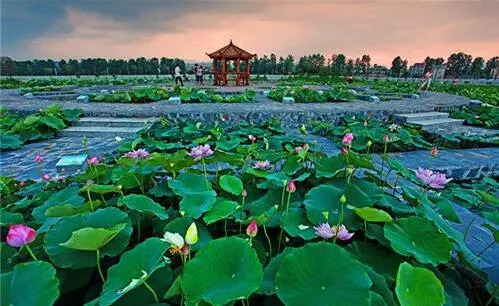 江西十大景点门票,江西景点有什么优惠政策