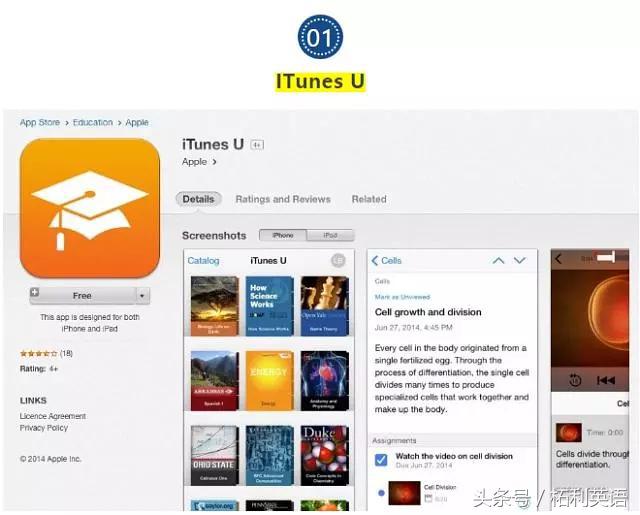初中英语网课免费学习网站,推荐两个超实用的英语学习网站