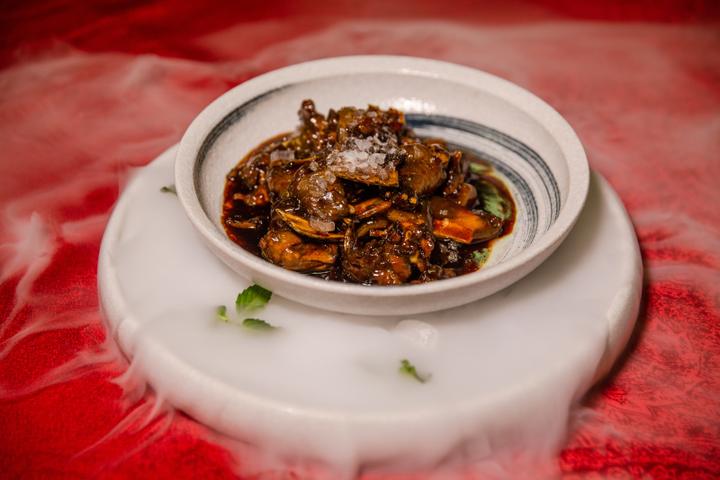 慈溪杭州湾甲鱼,浙江高端生态甲鱼