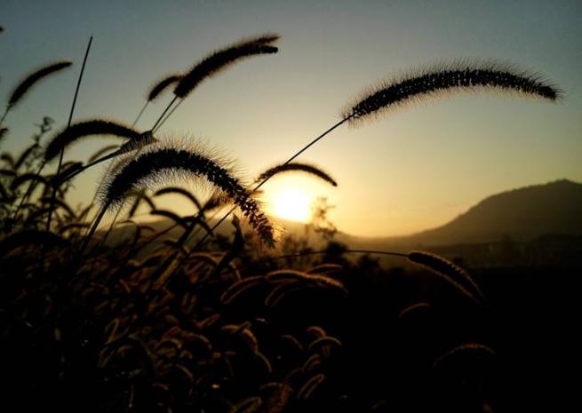 结婚后老公总是对自己发脾气,婚后发现老公有极端行为怎么办