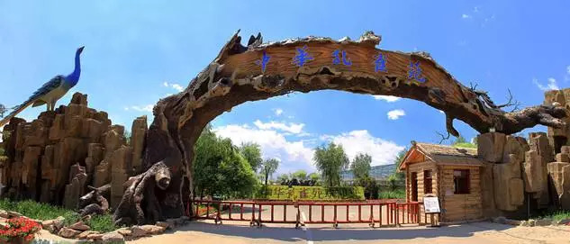 娘子关景区教师节免费,嘉峪关教师节免费旅游