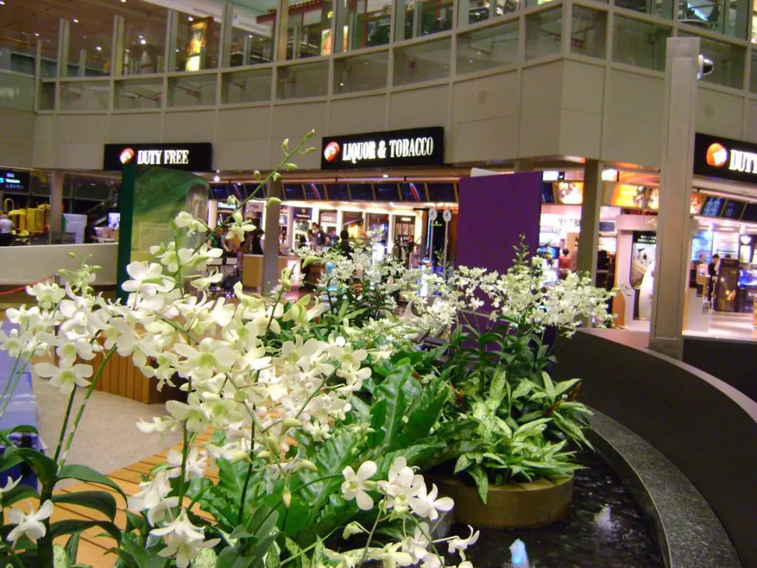 购买机票你一定要知道16件事,三招教你买到便宜机票