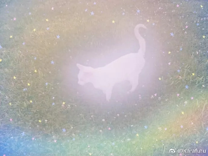 黄油相机有什么用处,黄油相机日常分享图片