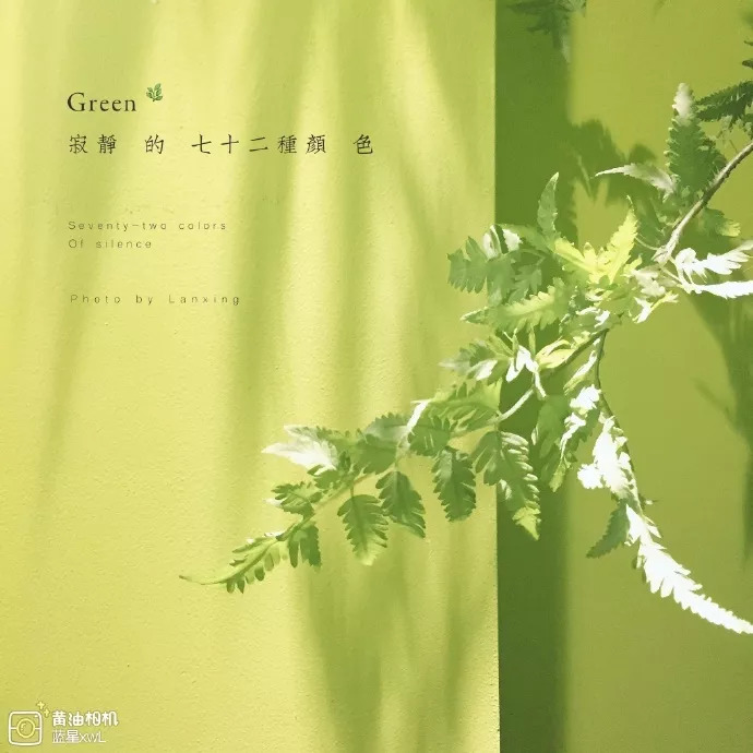 黄油相机有什么用处,黄油相机日常分享图片