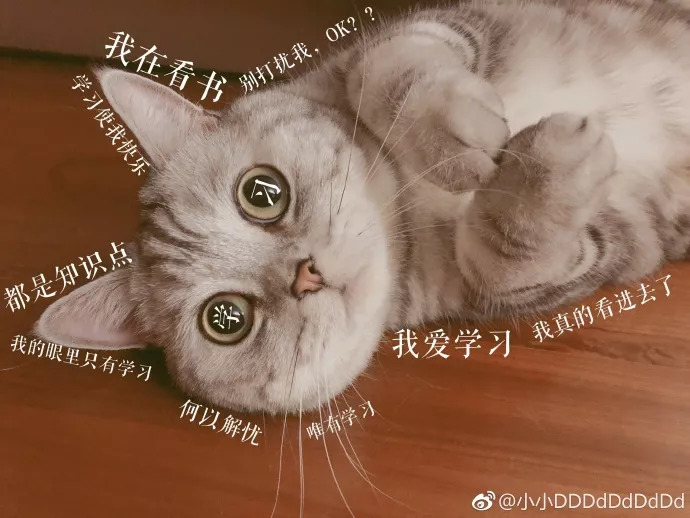 黄油相机有什么用处,黄油相机日常分享图片