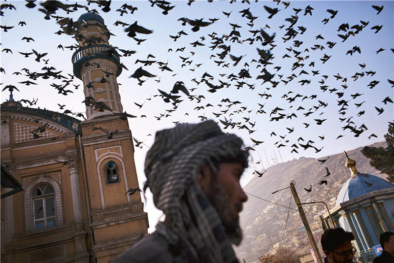 阿富汗靠什么活着,阿富汗到底怎样才是出路