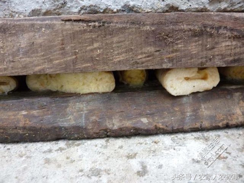 笋干的制作过程,赣南笋干的家常做法