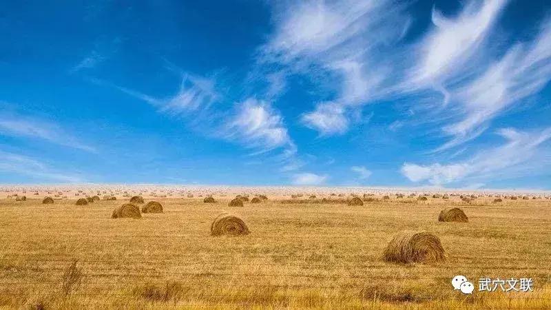 内蒙古呼伦贝尔夏日之旅,夏日跟喜欢的人旅行来呼伦贝尔