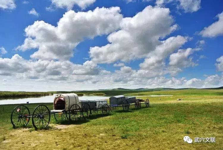 内蒙古呼伦贝尔夏日之旅,夏日跟喜欢的人旅行来呼伦贝尔