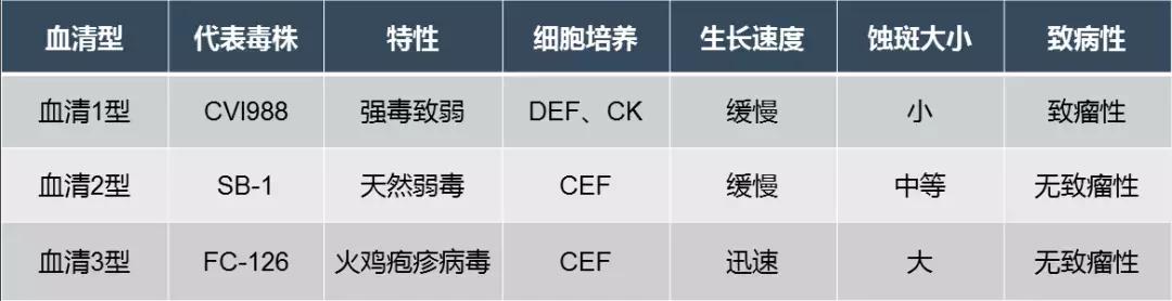 鸡用马立克氏疫苗分几种,鸡马立克氏病二价灭活疫苗