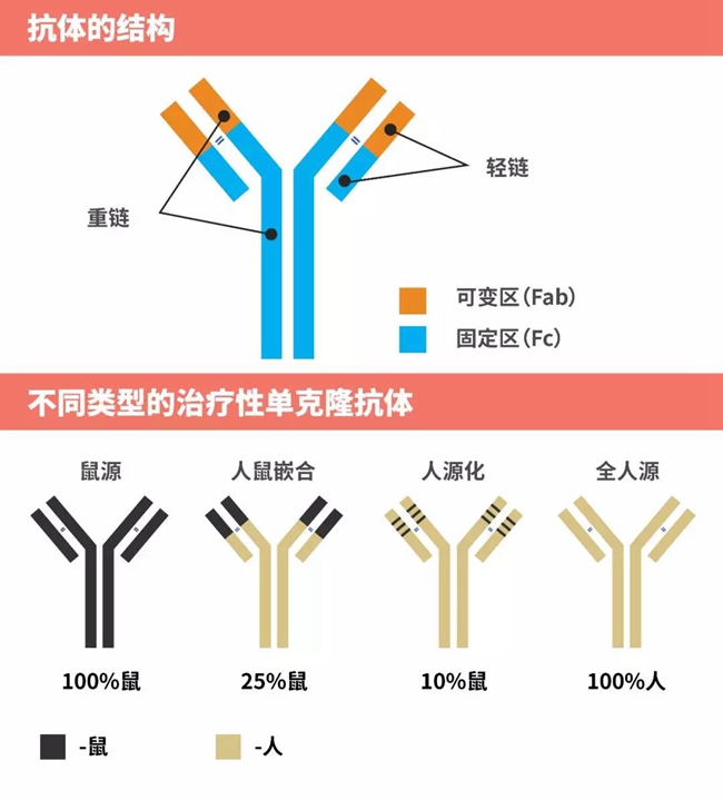 中国pd1免疫制剂什么时候上市,中国pd1上市药品