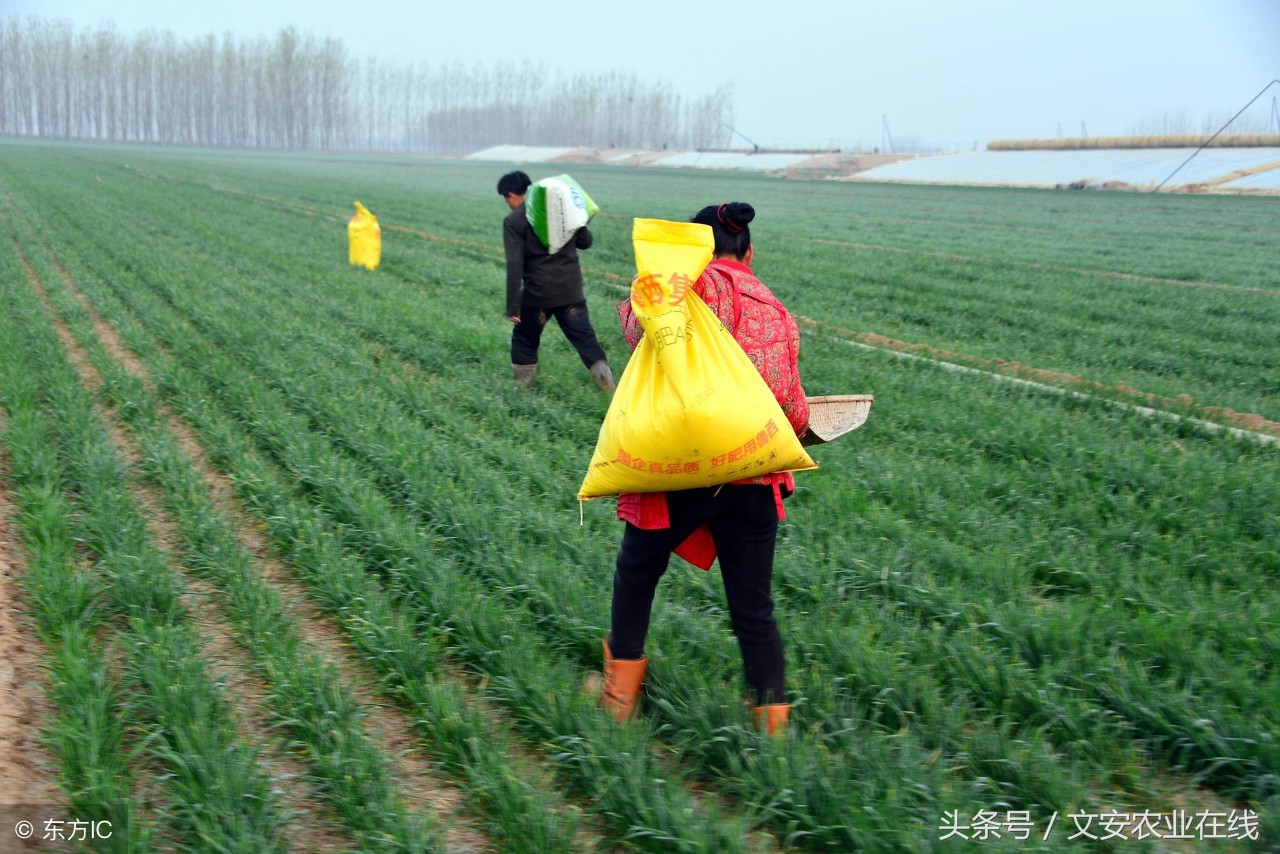 今年315曝光的不合格化肥名单,河北不合格化肥产品名单公布