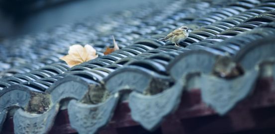 天古装饰基础装修价格,天古装饰优惠