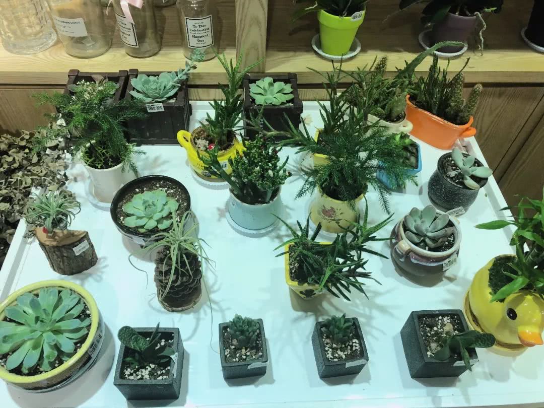 按下暂停键只是为了更好的相见,按下暂停键只为更好的相见