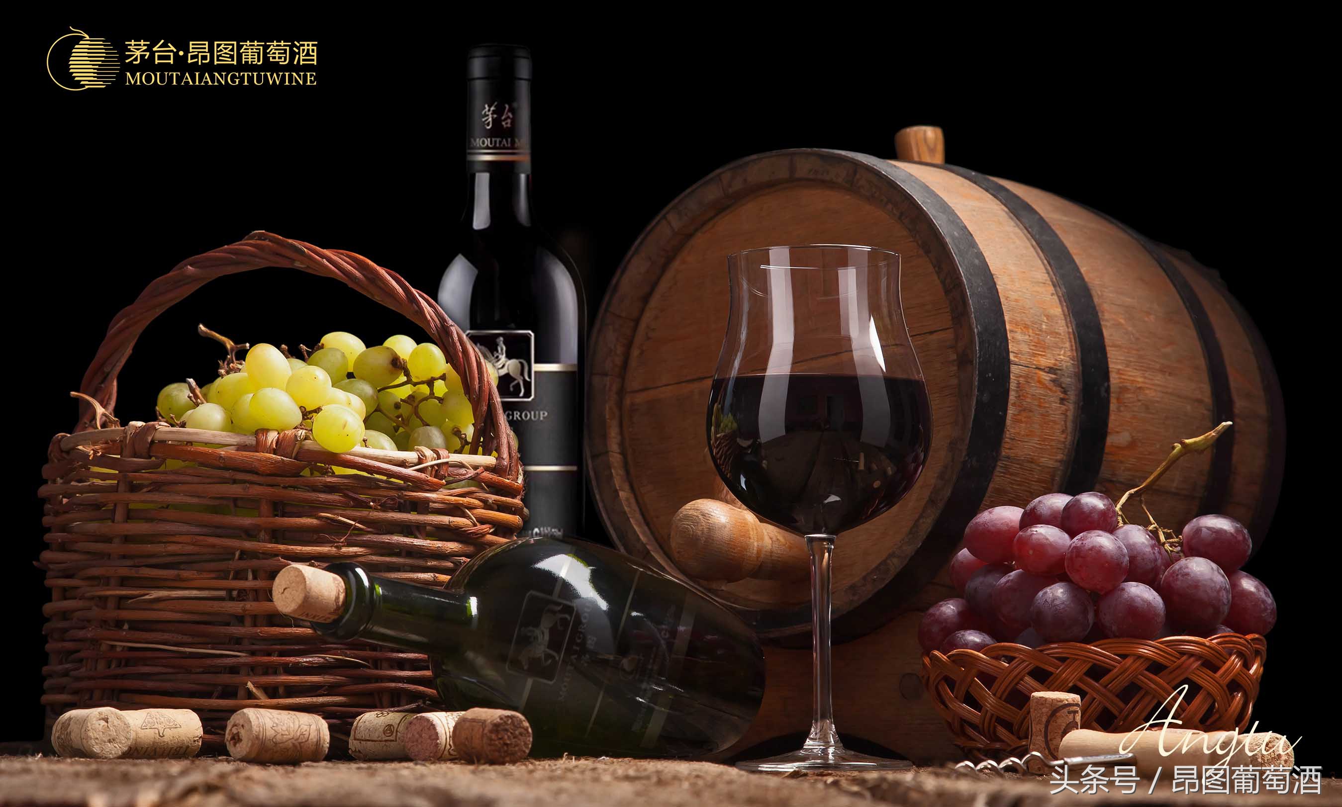 贺兰山东麓的紫色梦想,宁夏贺兰山紫色梦想