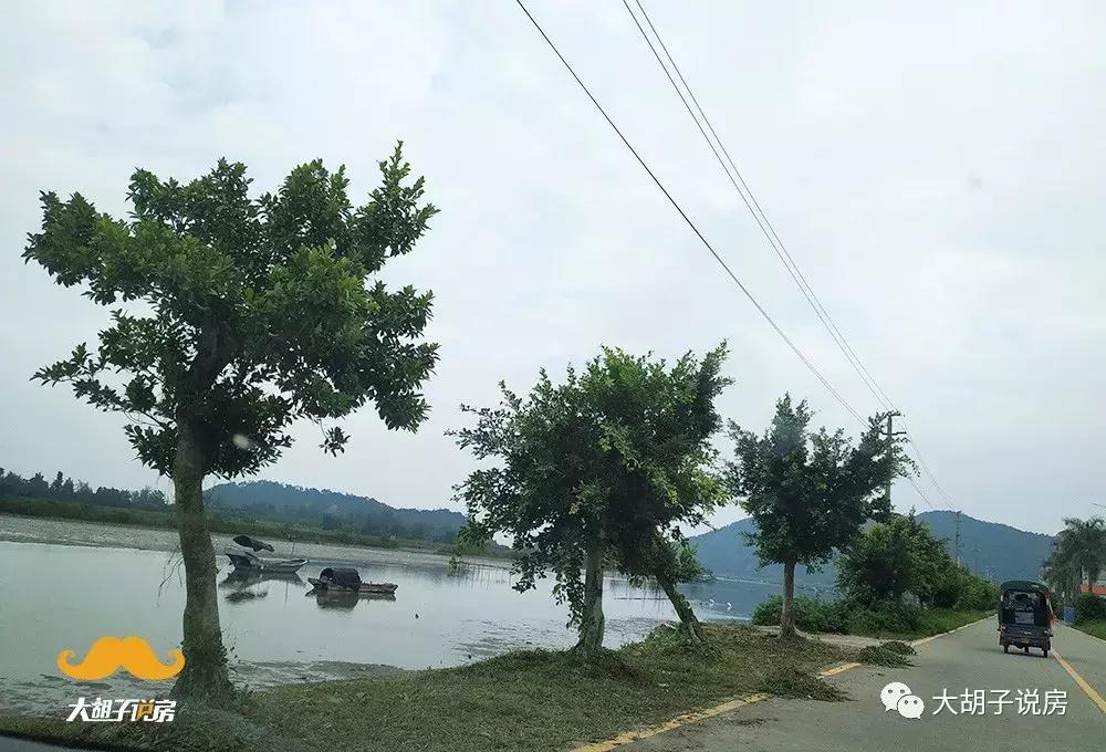 深圳为什么要发展深汕合作区,深汕合作区下一个深圳