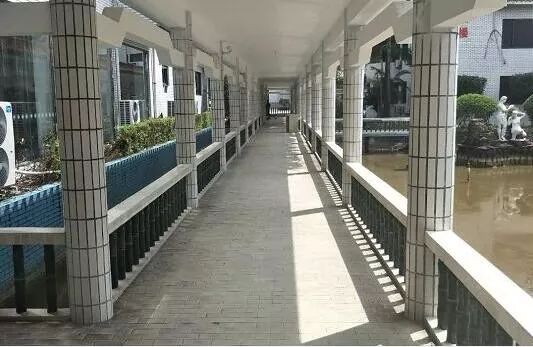 东莞亚视演艺学院,广东亚视演艺学院老校区