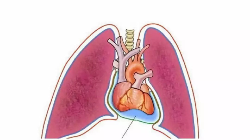 出现这些症状要警惕心脏问题,警惕心脏有问题的3个信号
