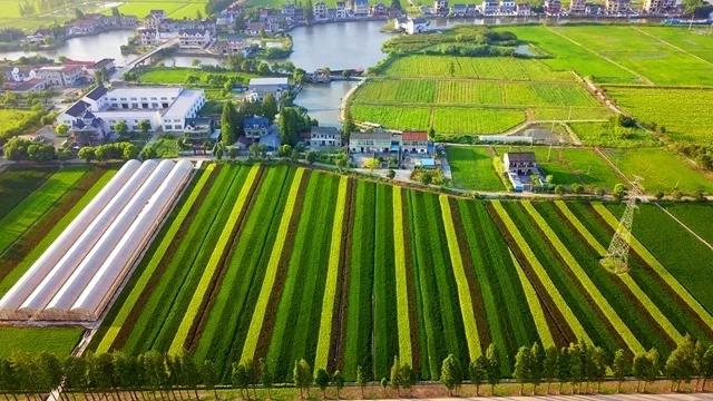 嘉兴嘉善县高薪招聘,嘉善高薪招聘