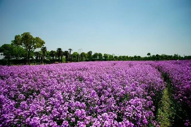嘉兴嘉善县高薪招聘,嘉善高薪招聘