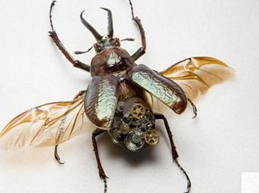 世上最先进的武器,世界上最先进武器