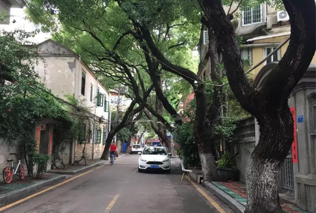 光阴里的老北京书,光阴里的老北京阅读