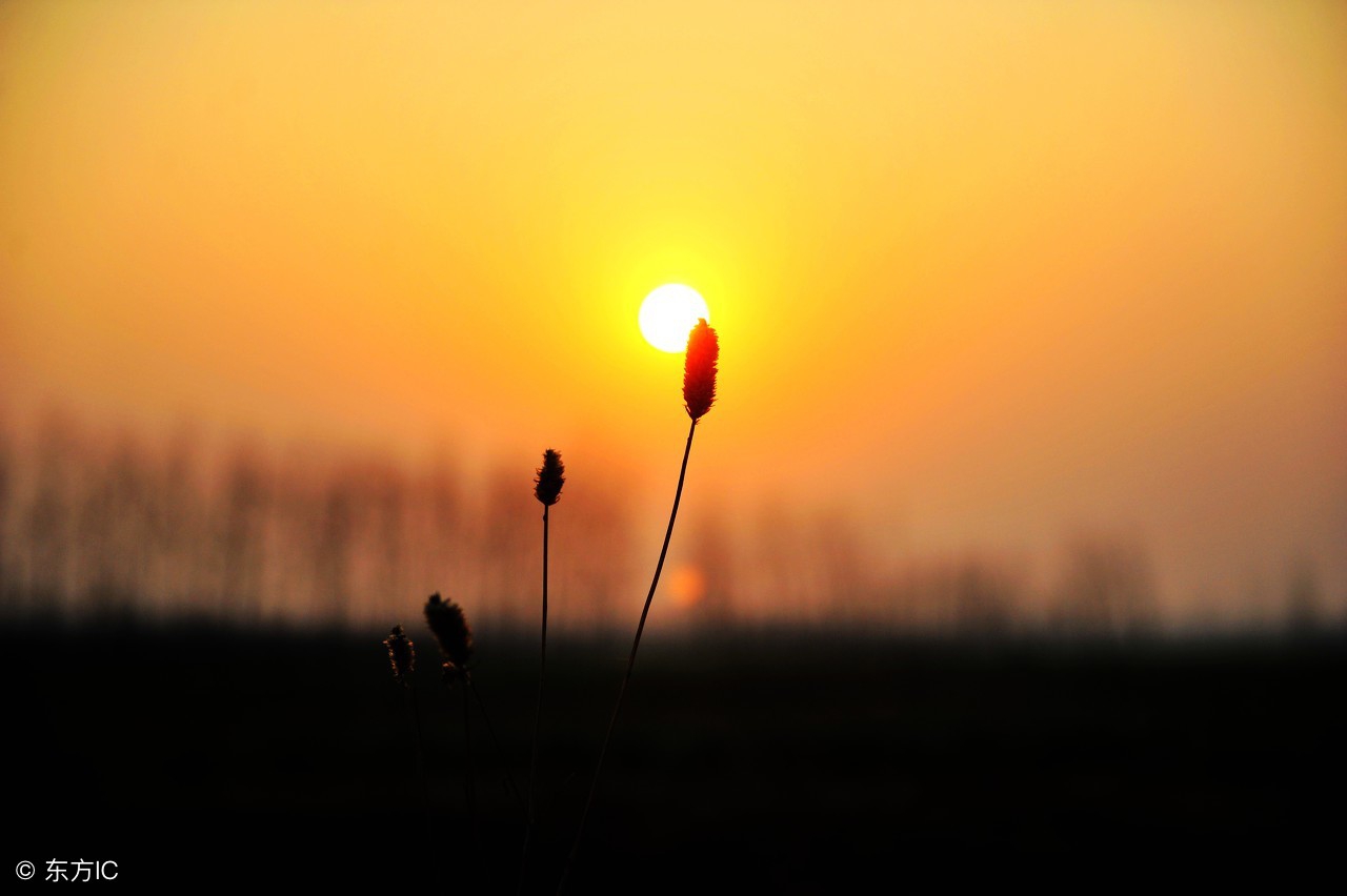 微博Qzone微信梦见这些说明你的业障消除了！