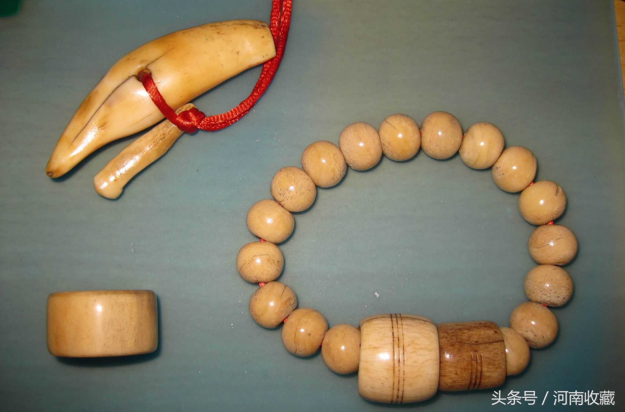 大猫骨为啥有红色还有白色的,大猫骨最直接的辨别方法