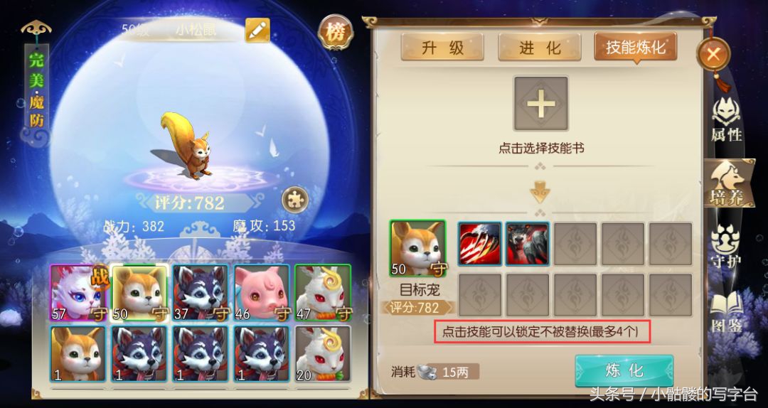 征途2宠物技能大全攻略,征途2宠物学什么技能厉害