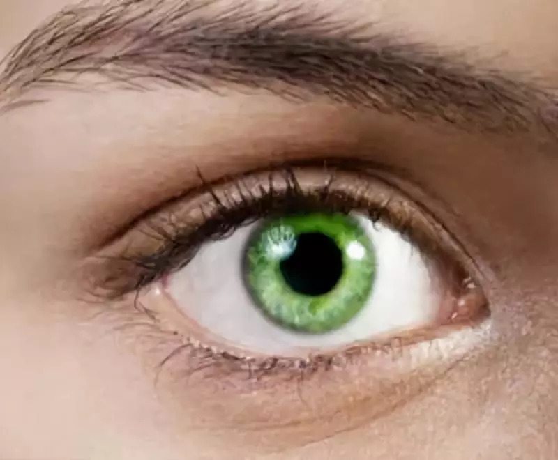 体内装有支架能运动吗,爱克塞尔支架可以做核磁共振吗