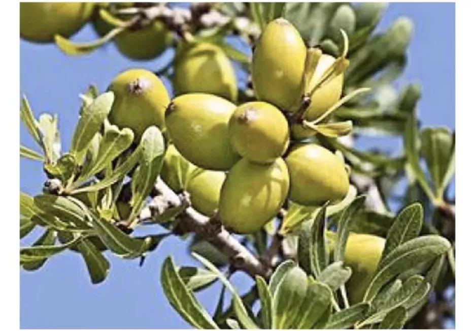 一条精选|没有标题，配得上这瓶洗发水