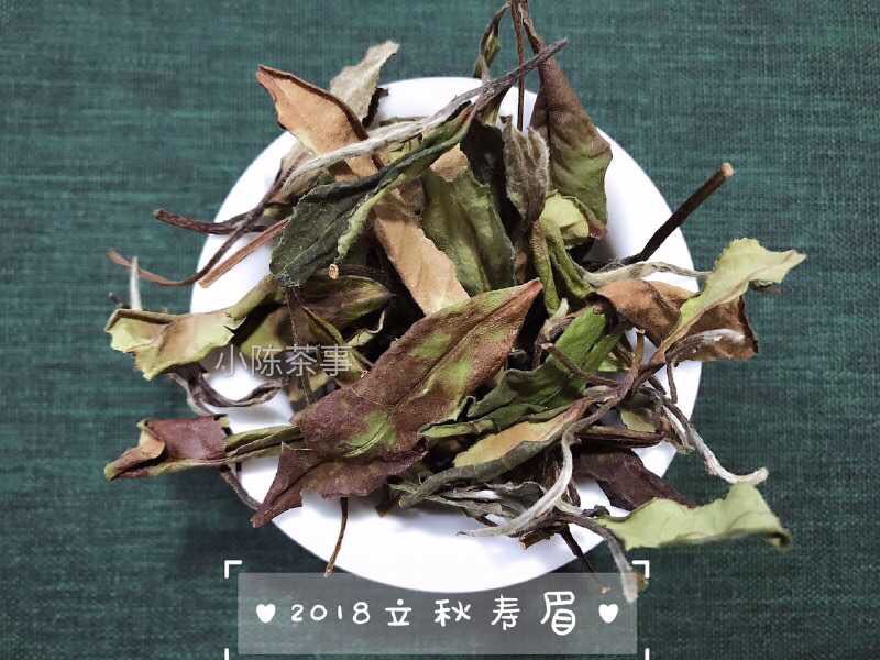 天目山白茶是白茶还是绿茶,白茶属于绿茶吗喝白茶的好处