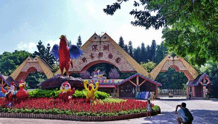 过生日省钱又划算的攻略,过生日优惠攻略