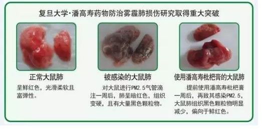 延禧攻略吃枇杷,延禧攻略有毒的枇杷膏