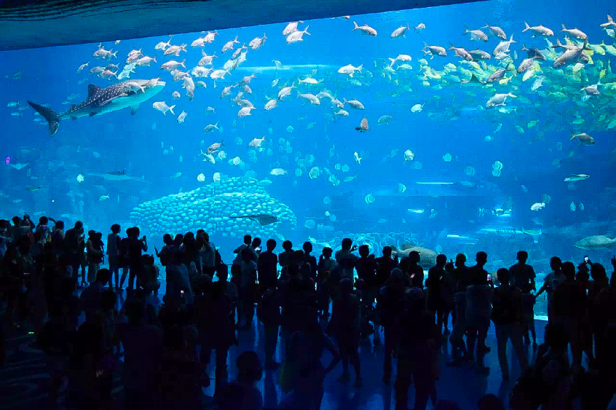 珠海长隆海洋王国亲子游攻略最新,长隆海洋世界亲子游攻略企鹅