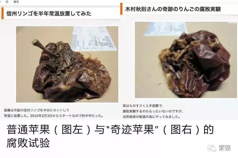 飘着果香的青森县——一颗苹果带来的鲜味与感动