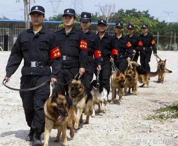 在外威风八面在家脾气全无,在外面有多威武在家就有多怂