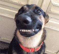 在外威风八面在家脾气全无,在外面有多威武在家就有多怂