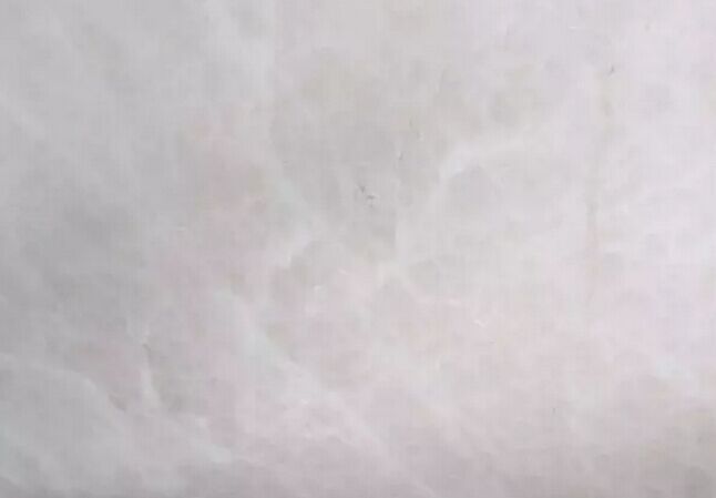 白玉兰花树庭院,院子里的白玉兰开花了