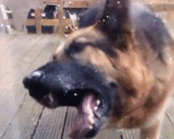 在外威风八面在家脾气全无,在外面有多威武在家就有多怂