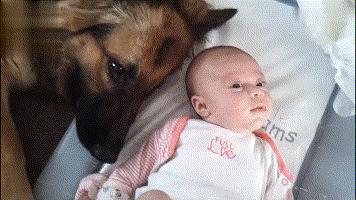 在外威风八面在家脾气全无,在外面有多威武在家就有多怂