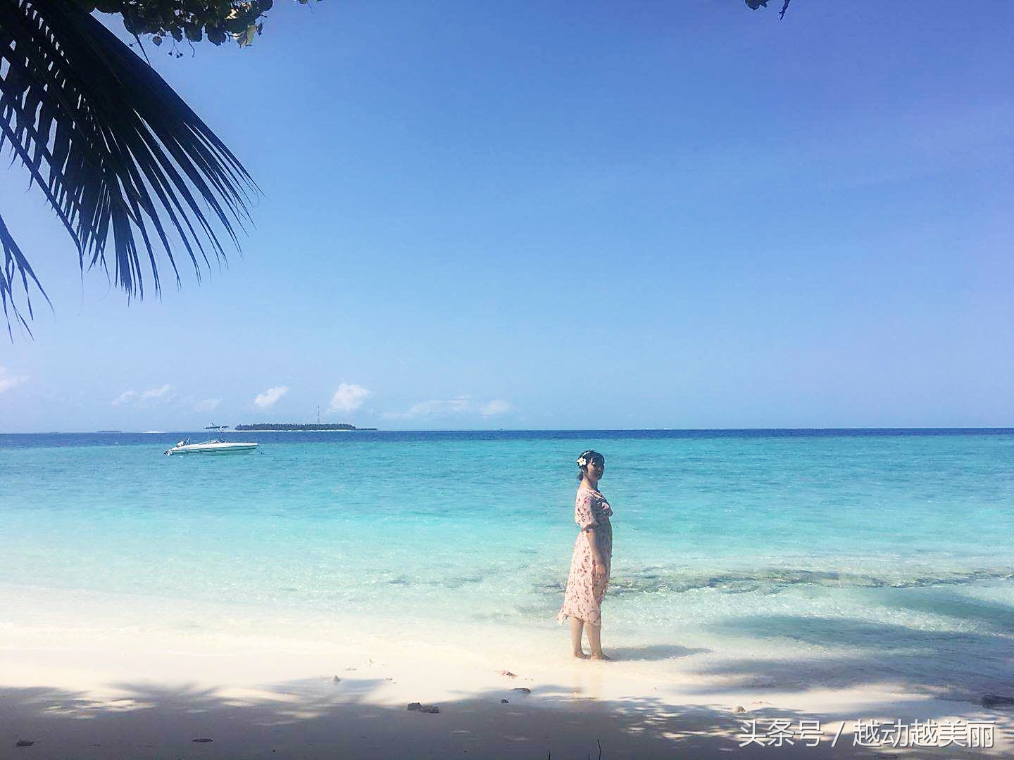 马尔代夫哪个岛浮潜最佳推荐,夏日全民旅行记海滩