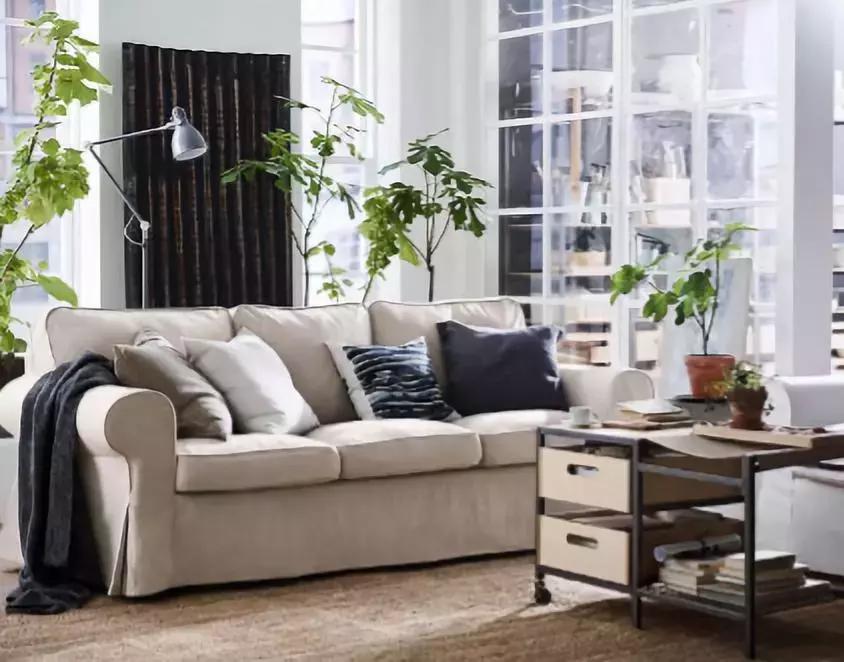 1元住宜家、49元全城送……密探宜家新财年发布会！皮一下很开心