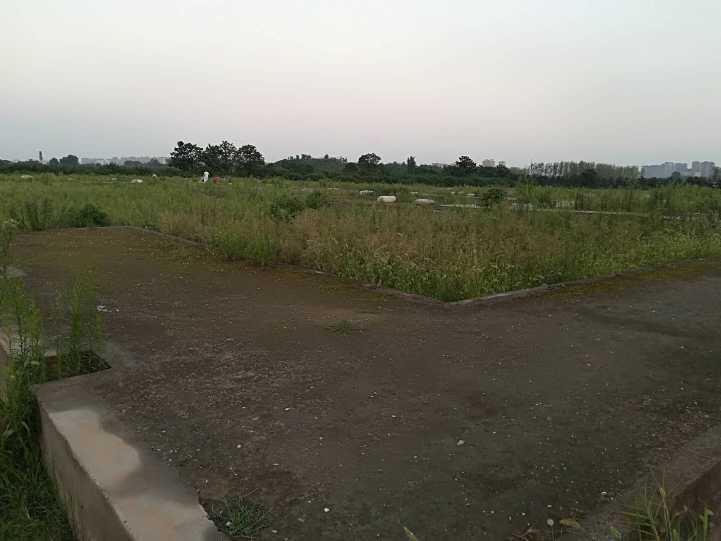 去什么天价楼兰古城,西安就有一座沉睡的“神秘古城”,免票!