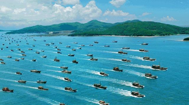 广东开海买海鲜,广东开海海鲜便宜还是贵