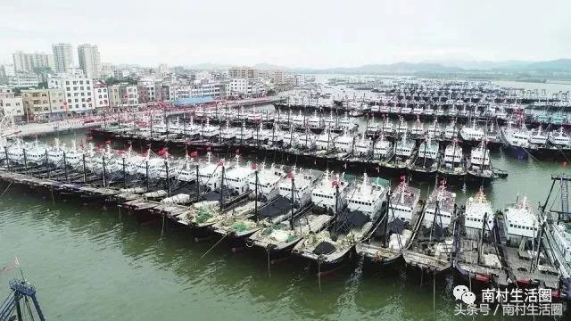 广东开海买海鲜,广东开海海鲜便宜还是贵