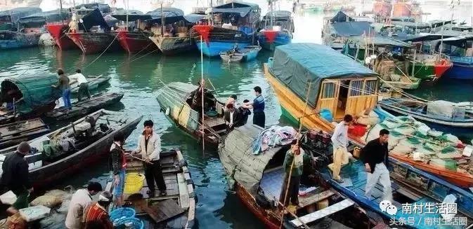 广东开海买海鲜,广东开海海鲜便宜还是贵