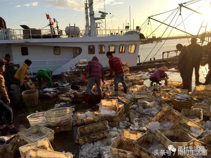 广东开海买海鲜,广东开海海鲜便宜还是贵