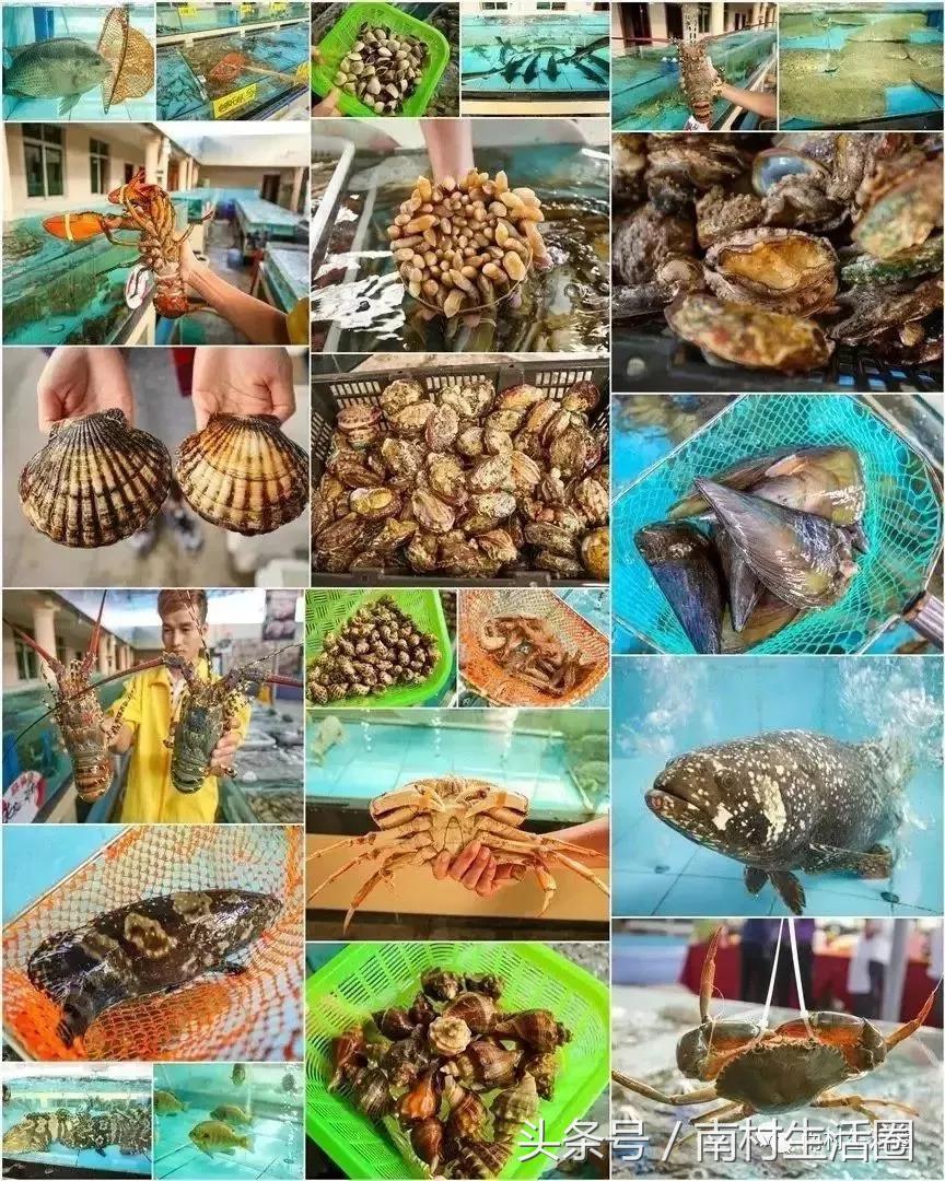 广东开海买海鲜,广东开海海鲜便宜还是贵